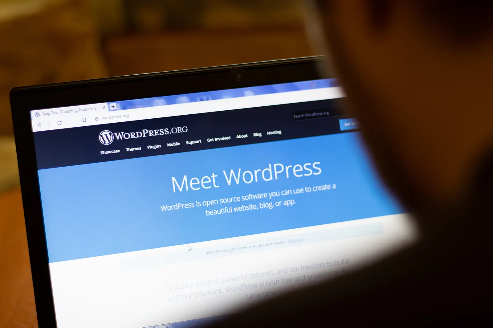 WordPress Agentur